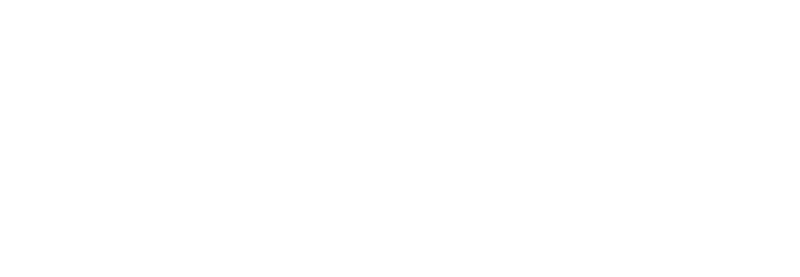 Digilu