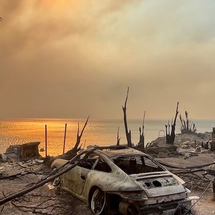 Palisades Fire — wildfire litigation case study